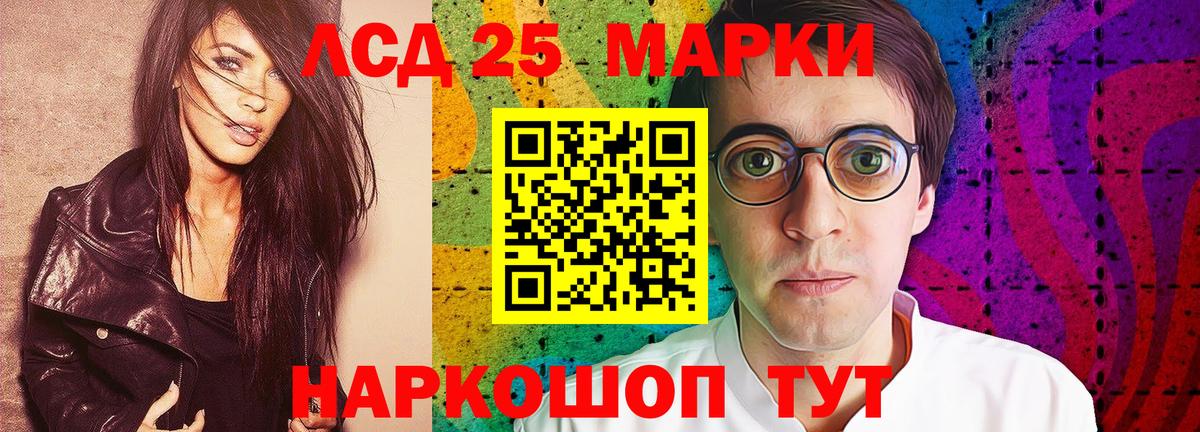 A PVP Электрогорск