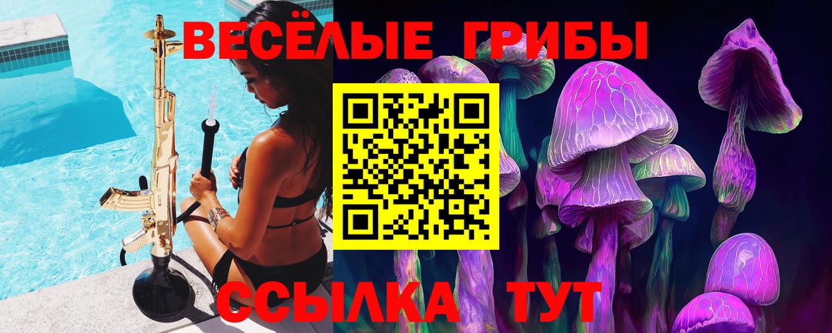 Электрогорск  Псилоцибиновые грибы прущие грибы  Галлюциногенные грибы GOLDEN TEACHER  Вход с VPN 