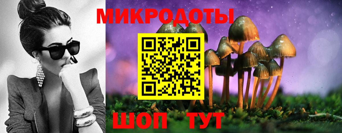Псилоцибиновые грибы мицелий Электрогорск